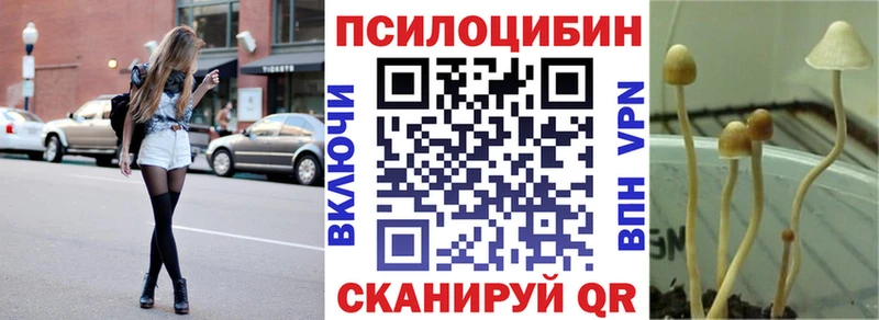 Галлюциногенные грибы ЛСД  купить закладку  Шахунья 
